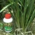 Agrinex 1L Paddy Organic Fertilizer (Paddy Yield Enhancer)